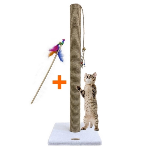 kedi-tirmanma-diregi